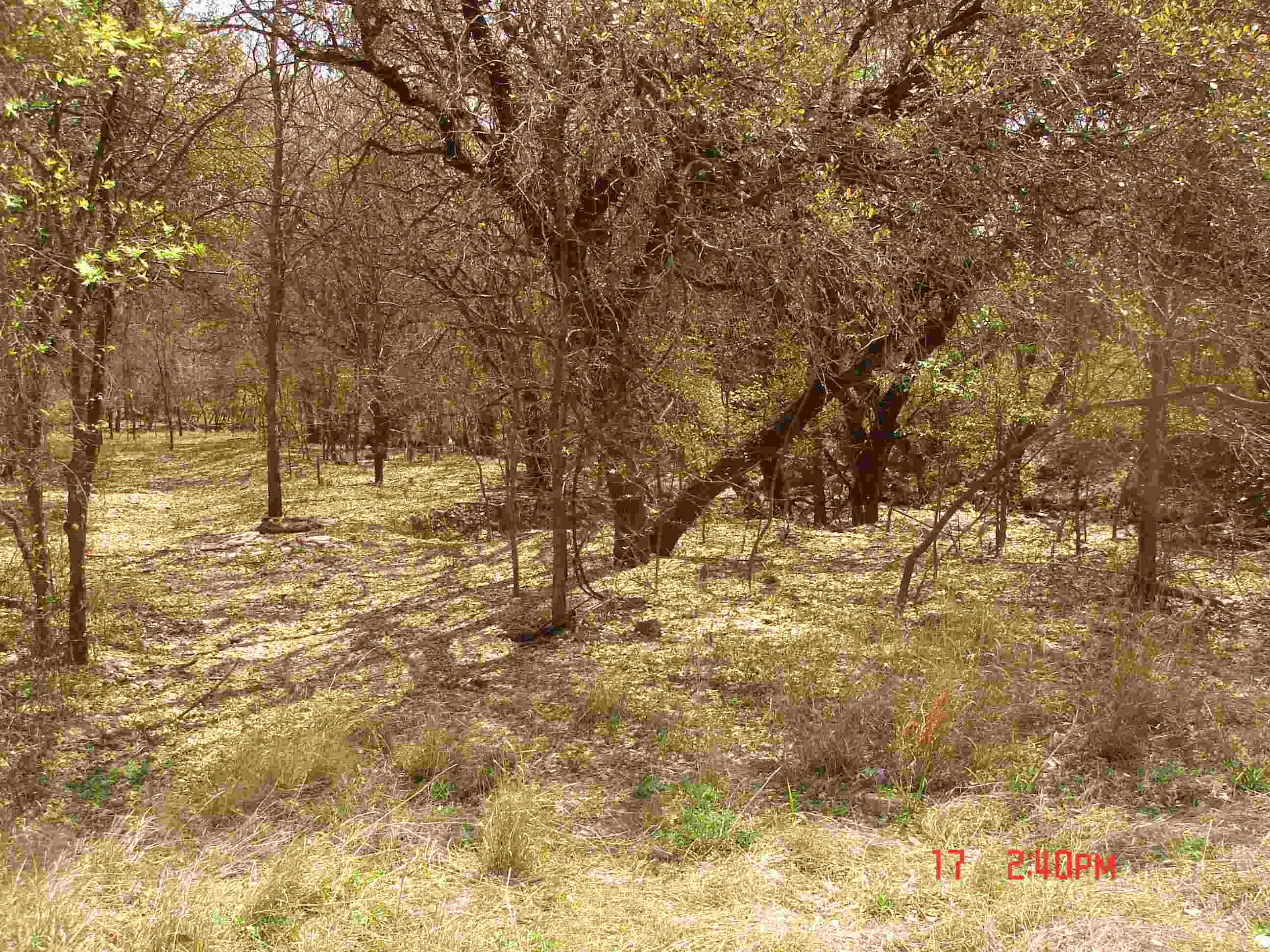 0 Heath Road, San Antonio, Texas 78250